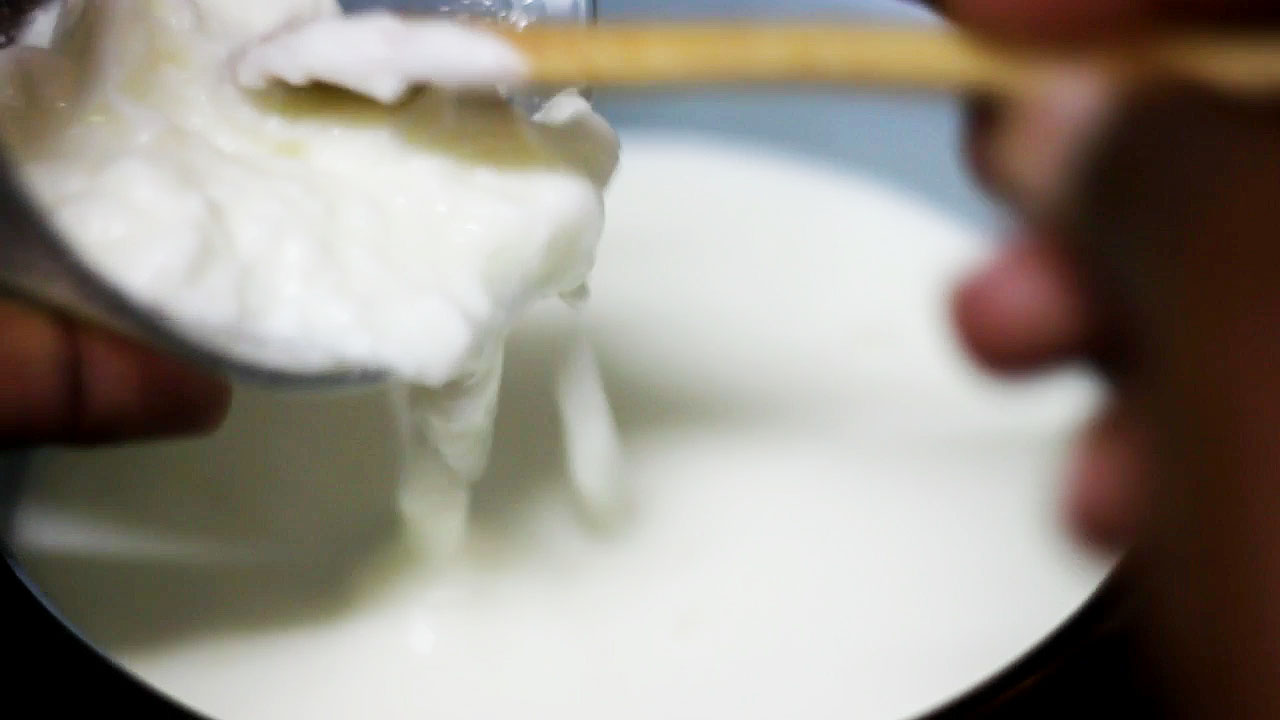 how to make Yogurt With Powdered Milk - No Yogurt maker